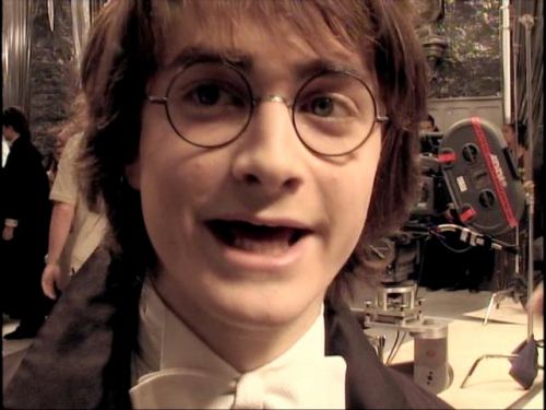 POTTER_GOBLET_OF_FIRE_BONUS-2_5.jpg