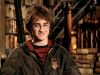 POTTER_GOBLET_OF_FIRE_BONUS-012.jpg