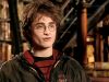 POTTER_GOBLET_OF_FIRE_BONUS-162.jpg