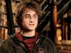 POTTER_GOBLET_OF_FIRE_BONUS-16_.jpg