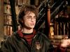 POTTER_GOBLET_OF_FIRE_BONUS-2__~0.jpg