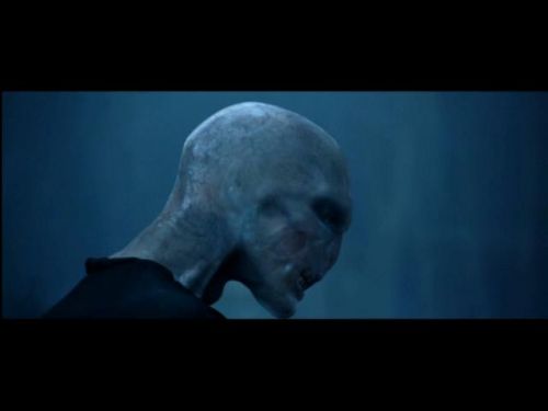 Click to view full size image
==============
POTTER_GOBLET_OF_FIRE_BONUS-0_5.jpg POTTER_GOBLET_OF_FIRE_BONUS-0_5.jpg