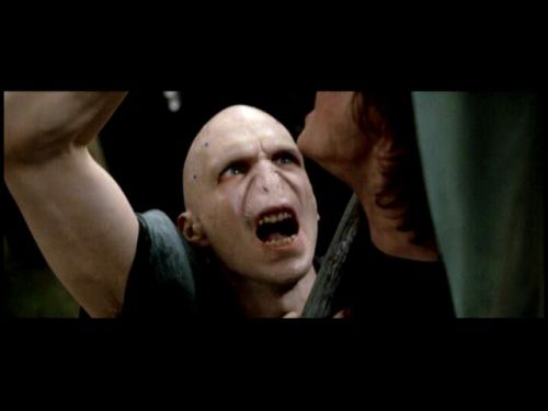 POTTER_GOBLET_OF_FIRE_BONUS-110.jpg