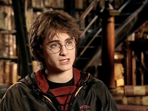 POTTER_GOBLET_OF_FIRE_BONUS-156.jpg