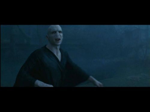 POTTER_GOBLET_OF_FIRE_BONUS-172.jpg
