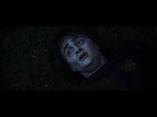 Click to view full size image
==============
POTTER_GOBLET_OF_FIRE_BONUS-221.jpg POTTER_GOBLET_OF_FIRE_BONUS-221.jpg