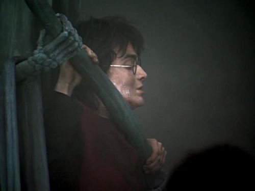 POTTER_GOBLET_OF_FIRE_BONUS-227.jpg