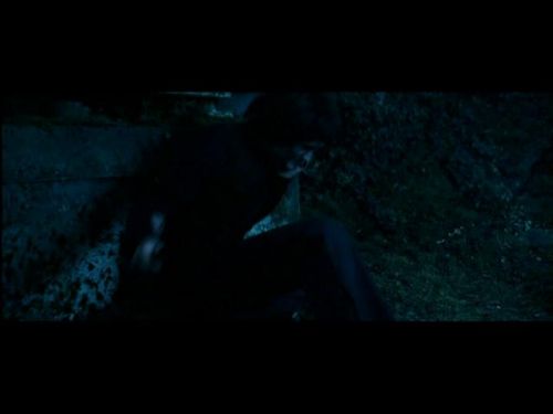 POTTER_GOBLET_OF_FIRE_BONUS-252.jpg