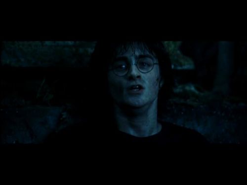 POTTER_GOBLET_OF_FIRE_BONUS-254.jpg