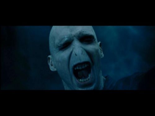 POTTER_GOBLET_OF_FIRE_BONUS-255.jpg