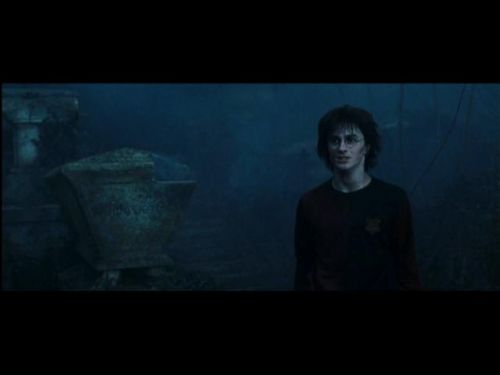 Click to view full size image
==============
POTTER_GOBLET_OF_FIRE_BONUS-2_7.jpg POTTER_GOBLET_OF_FIRE_BONUS-2_7.jpg