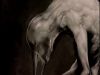 POTTER_GOBLET_OF_FIRE_BONUS-014.jpg