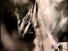 POTTER_GOBLET_OF_FIRE_BONUS-015.jpg