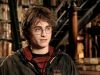 POTTER_GOBLET_OF_FIRE_BONUS-250.jpg
