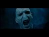 POTTER_GOBLET_OF_FIRE_BONUS-255.jpg