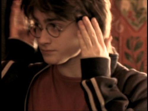 POTTER_GOBLET_OF_FIRE_BONUS-061.jpg
