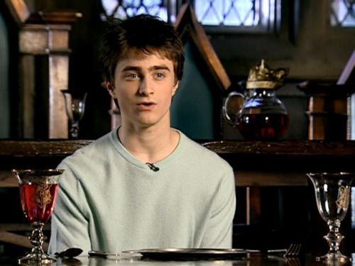 POTTER_GOBLET_OF_FIRE_BONUS-062.jpg