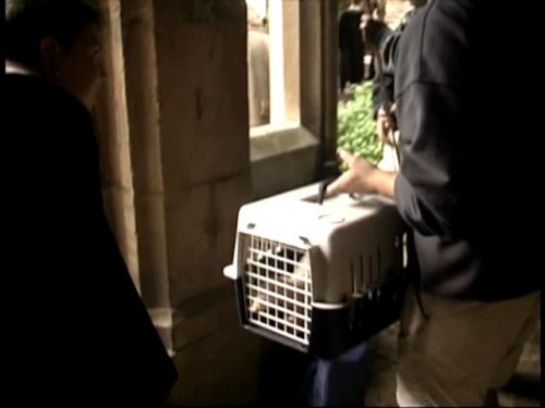 Click to view full size image
==============
POTTER_GOBLET_OF_FIRE_BONUS-___.jpg POTTER_GOBLET_OF_FIRE_BONUS-___.jpg