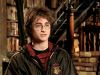 POTTER_GOBLET_OF_FIRE_BONUS-__7~0.jpg