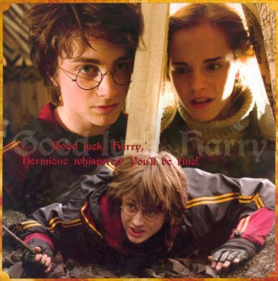 Click to view full size image
==============
Calendario_harryhermione.jpg Calendario_harryhermione.jpg