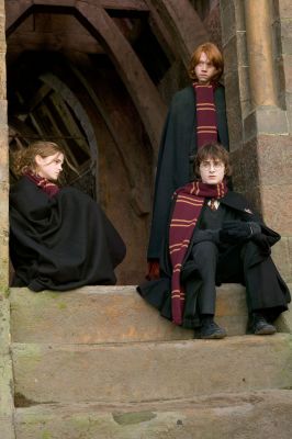 O Trio
O trio em Harry Potter e o CÃ¡lice de Fogo.
