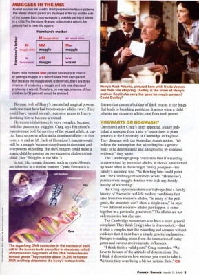 gof2006article10.jpg