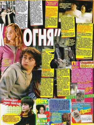 gof2006article12.jpg