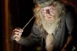 dumbledorepensieve.jpg