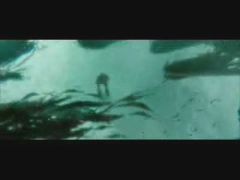 gof_trailer___HD450.jpg gof_trailer___HD450.jpg