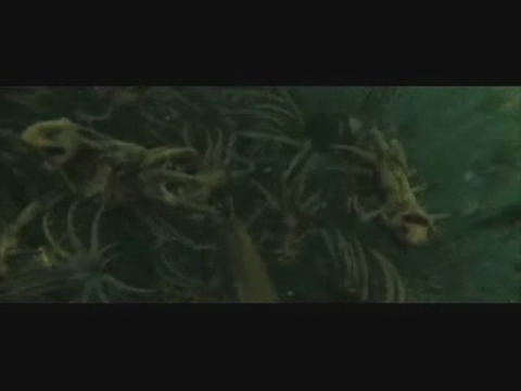 gof_trailer___HD480.jpg