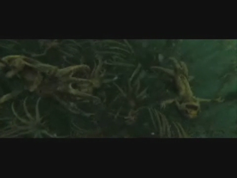 gof_trailer___HD481.jpg