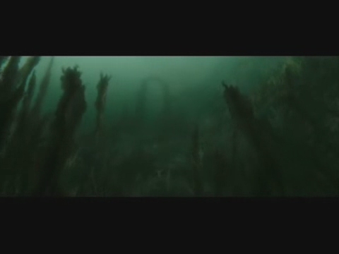 gof_trailer___HD_18.jpg gof_trailer___HD_18.jpg