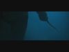 gof_trailer___HD044.jpg