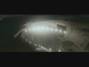 gof_trailer___HD118.jpg