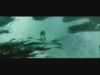 gof_trailer___HD450.jpg