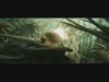 gof_trailer___HD474.jpg