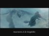 gofintlteaserb047.jpg