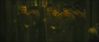 goftvspot22.jpg