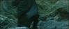 goftvspot41.jpg