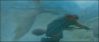 goftvspot47.jpg