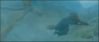 goftvspot4_~0.jpg