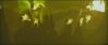 goftvspot57.jpg