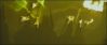 goftvspot58.jpg