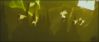 goftvspot5_~0.jpg