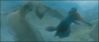 goftvspot81.jpg