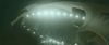 fourthgoftvspot01_~0.jpg