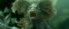 goftrailer-high015.jpg