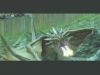 _Raw_20050507_1_0011174-tn.jpg