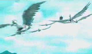 gmtv007.jpg gmtv007.jpg