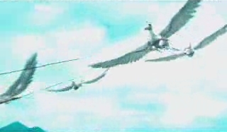 gmtv00_~0.jpg